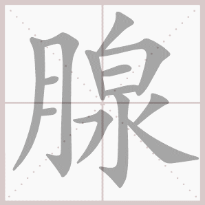 腺的笔顺,腺字笔顺