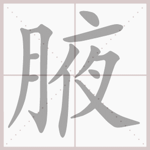 腋的笔顺,腋字笔顺